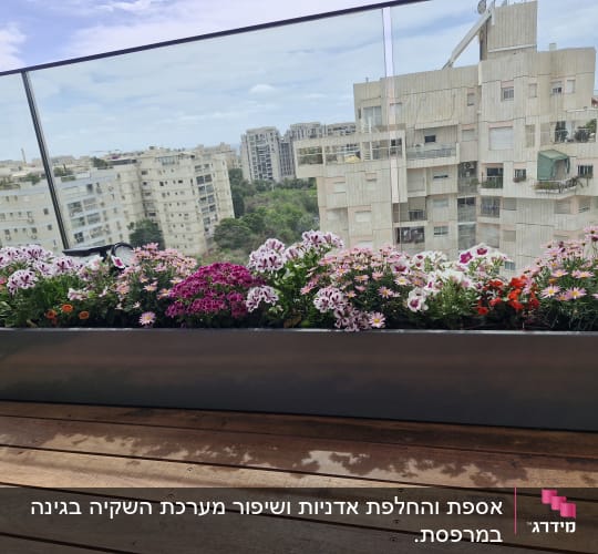 עציץ עם פרחים על מרפסת עם נוף עירוני